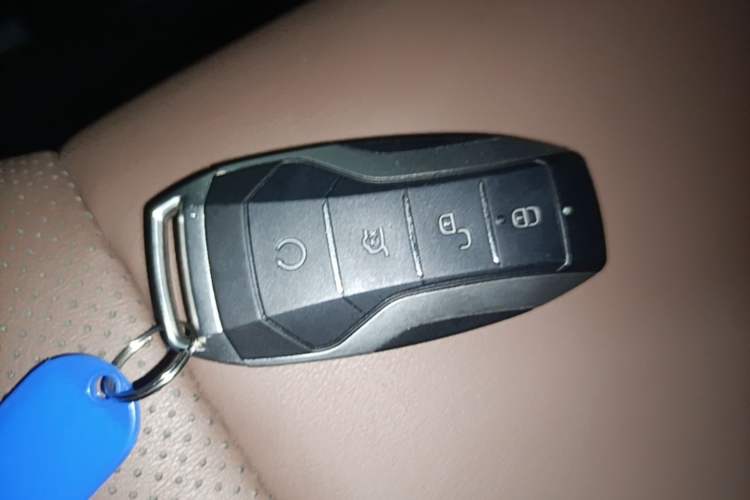 Used BYD Tang New Energy 2021 DM-i 112KM Prestige Model Interior 1