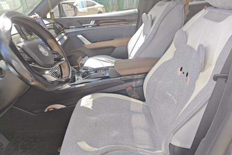 Used BYD Tang New Energy 2021 DM-i 112KM Prestige Model Left Front Seat