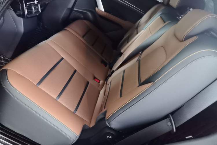 Used BYD Tang New Energy 2021 DM 2.0T Four-Wheel Drive Performance Edition Prestige Model Left Rear Seat