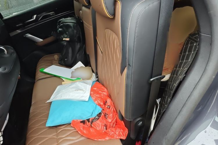 Used BYD Tang New Energy 2021 DM 2.0T Four-Wheel Drive High-Performance Flagship Model Left Rear Seat