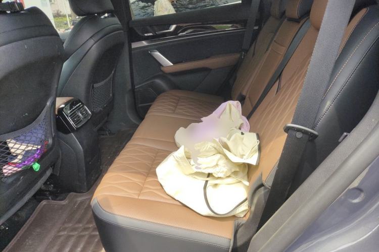 Used BYD Tang New Energy 2021 DM-i 112KM Prestige Model Left Rear Seat