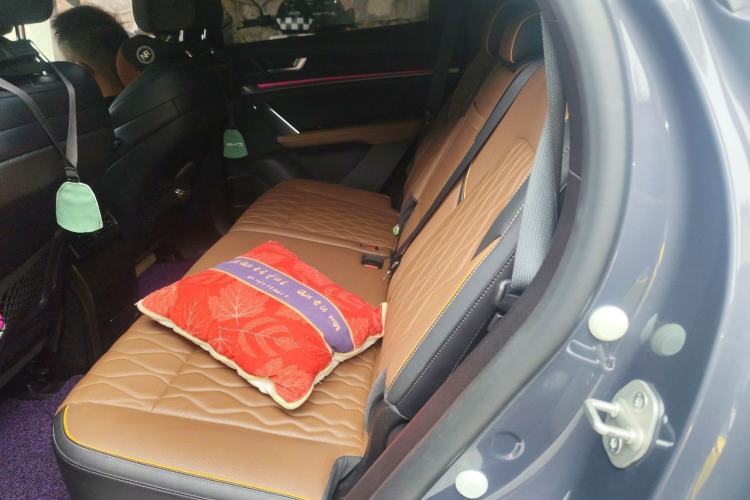 Used BYD Tang New Energy 2021 DM-i 112KM Prestige Model Left Rear Seat