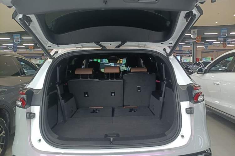 Used BYD Tang New Energy 2021 DM-i 112KM Prestige Model Trunk