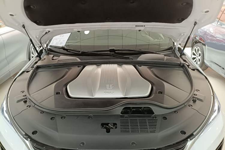 Used BYD Tang New Energy 2021 DM-i 112KM Prestige Model Engine Bay