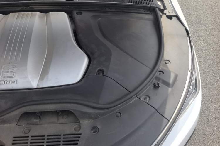Used BYD Tang New Energy 2021 DM-i 112KM Prestige Model Engine Bay Left