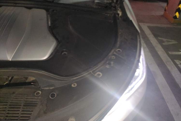 Used BYD Tang New Energy 2021 DM-i 112KM Prestige Model Engine Bay Left