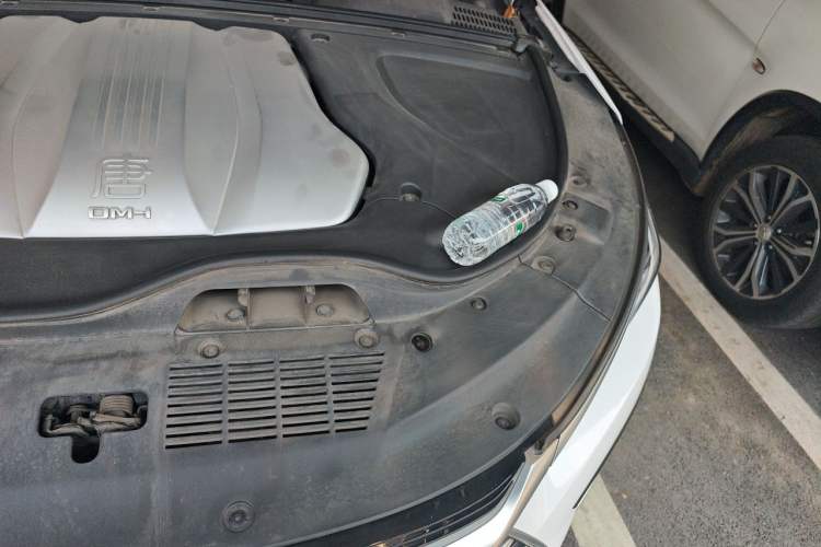 Used BYD Tang New Energy 2021 DM-i 112KM Prestige Model Engine Bay Left