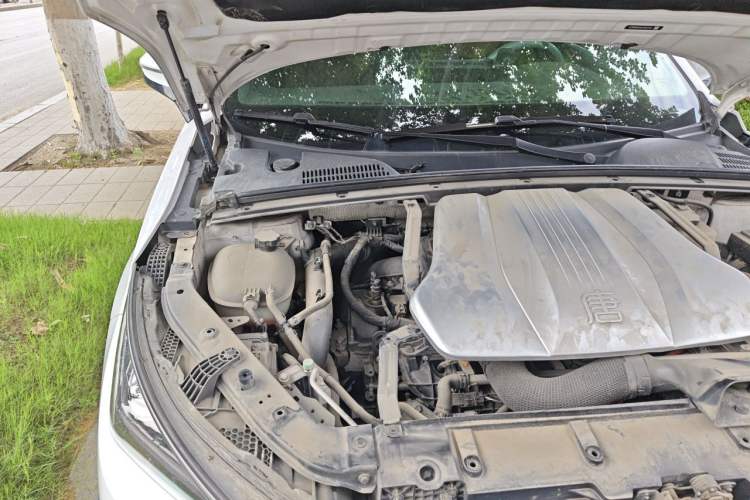 Used BYD Tang New Energy 2021 DM 2.0T Four-Wheel Drive High-Performance Flagship Model Engine Bay Right