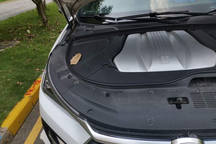 Used BYD Tang New Energy 2021 DM 2.0T Four-Wheel Drive High-Performance Flagship Model Engine Bay Right
