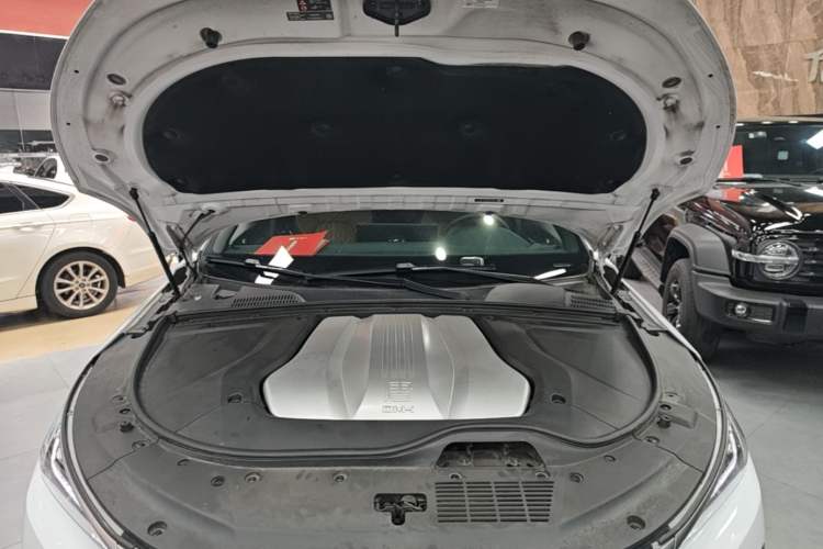 Used BYD Tang New Energy 2021 DM-i 112KM Prestige Model Engine Bay