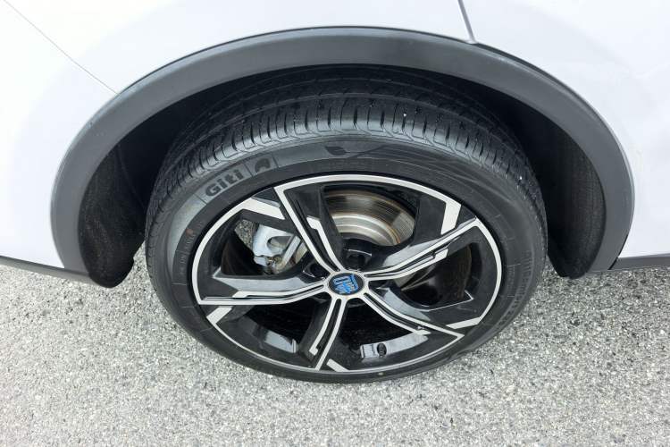 Used BYD Tang New Energy 2021 DM-i 112KM Prestige Model Exterior 10
