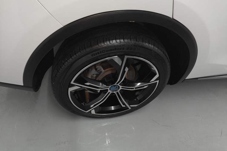 Used BYD Tang New Energy 2021 DM-i 112KM Prestige Model Exterior 5