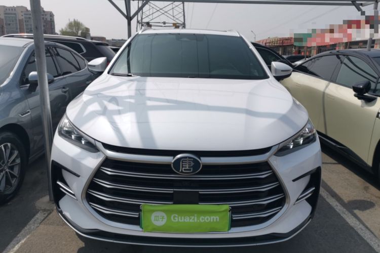 Used BYD Tang New Energy 2021 DM-i 112KM Prestige Model Front