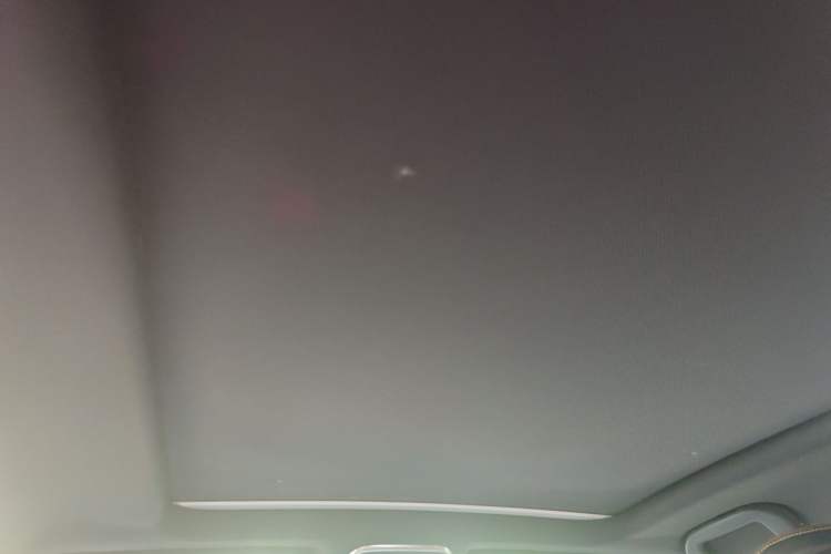 Used BYD Tang New Energy 2021 DM 2.0T Four-Wheel Drive High-Performance Luxury Model Headliner