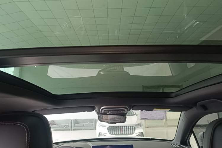 Used BYD Tang New Energy 2021 DM-i 112KM Prestige Model Headliner