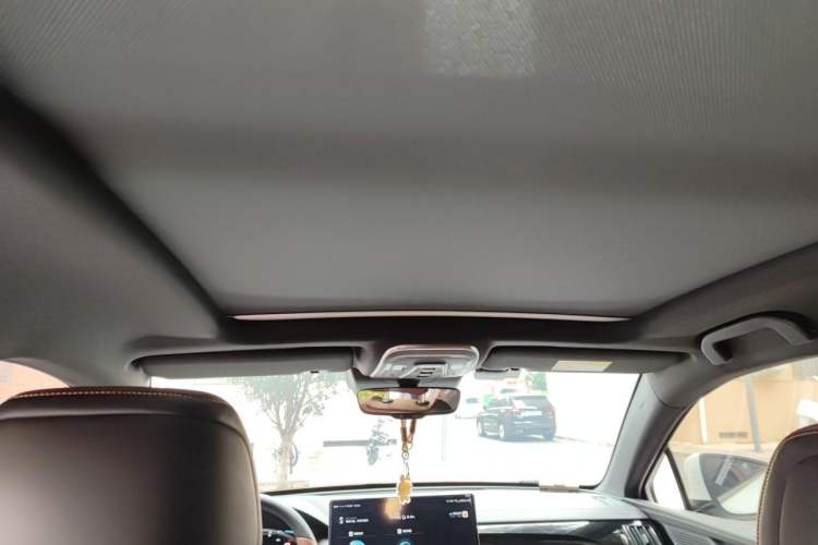Used BYD Tang New Energy 2021 DM 2.0T Four-Wheel Drive High-Performance Luxury Model Headliner