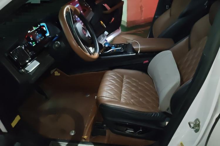 Used BYD Tang New Energy 2021 DM-i 112KM Prestige Model Left Front Seat