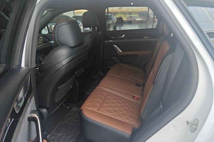 Used BYD Tang New Energy 2021 DM-i 112KM Prestige Model Left Rear Seat