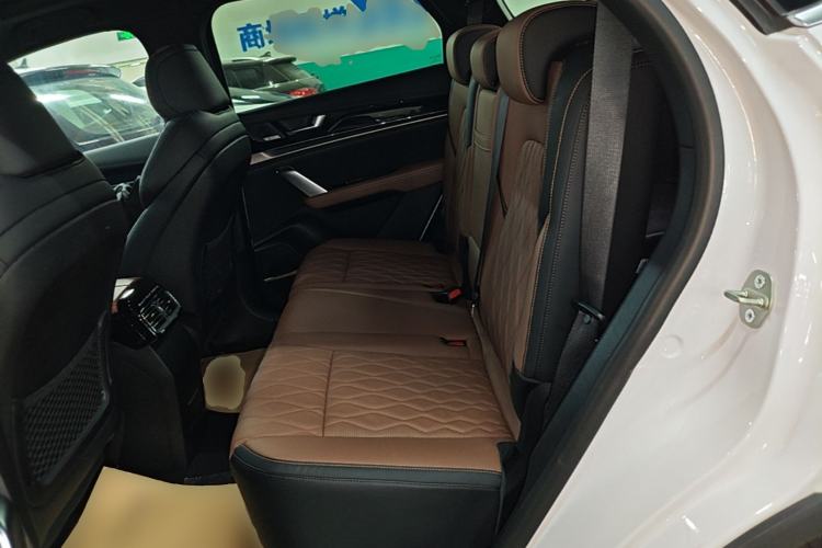 Used BYD Tang New Energy 2021 DM-i 112KM Prestige Model Left Rear Seat