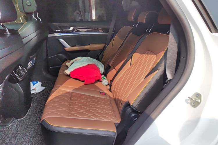 Used BYD Tang New Energy 2021 DM-i 112KM Prestige Model Left Rear Seat