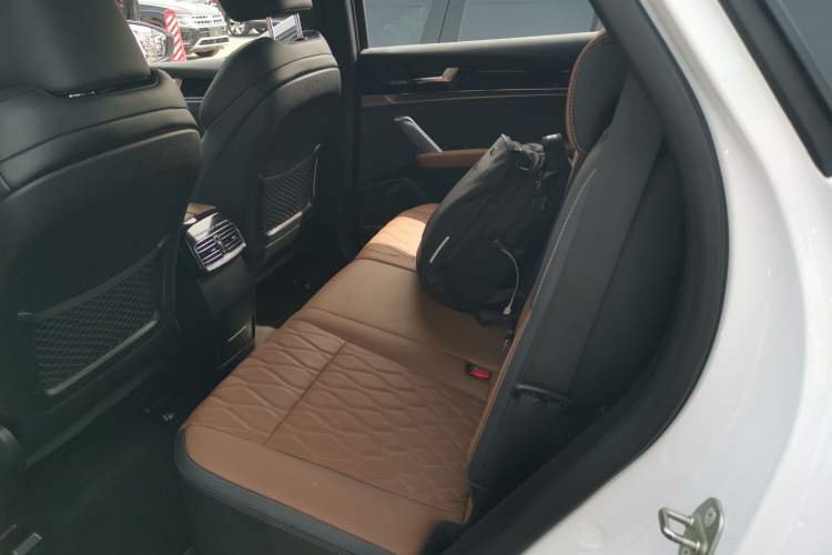 Used BYD Tang New Energy 2021 DM-i 112KM Prestige Model Left Rear Seat