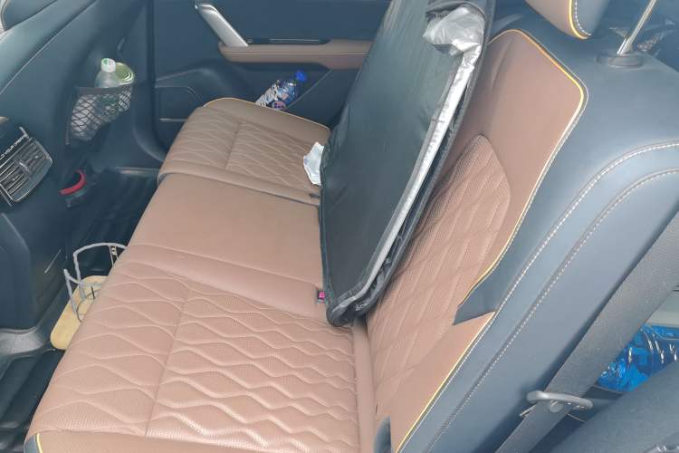 Used BYD Tang New Energy 2021 DM-i 112KM Prestige Model Left Rear Seat