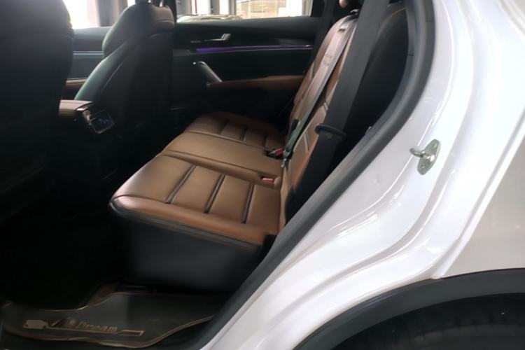 Used BYD Tang New Energy 2021 DM 2.0T Four-Wheel Drive High-Performance Luxury Model Left Rear Seat