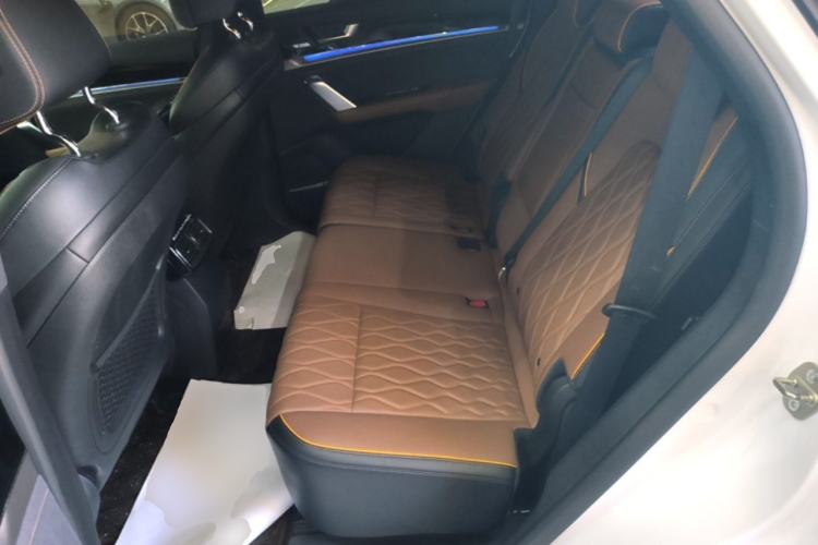 Used BYD Tang New Energy 2021 DM-i 112KM Prestige Model Left Rear Seat