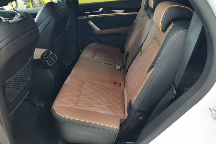 Used BYD Tang New Energy 2021 DM-i 112KM Prestige Model Left Rear Seat