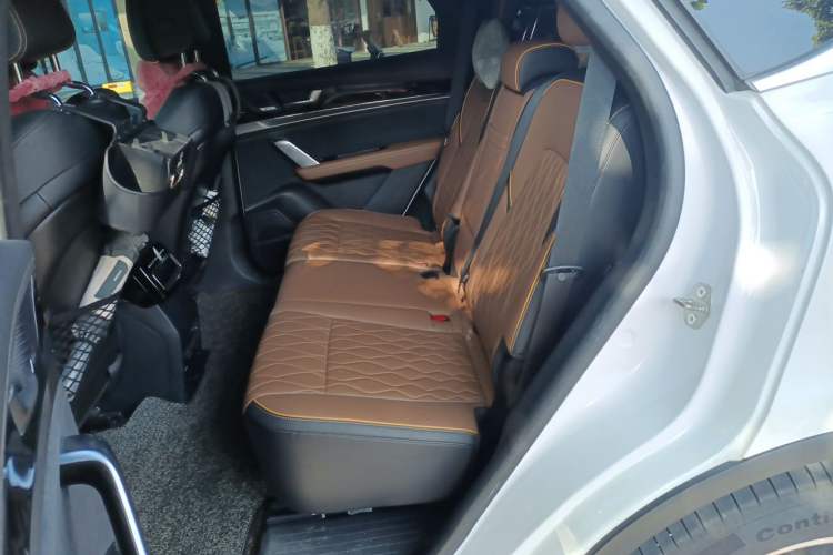 Used BYD Tang New Energy 2021 DM 2.0T Four-Wheel Drive High-Performance Flagship Model Left Rear Seat