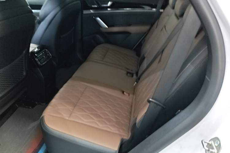 Used BYD Tang New Energy 2021 DM-i 112KM Prestige Model Left Rear Seat