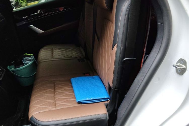 Used BYD Tang New Energy 2021 DM-i 112KM Prestige Model Left Rear Seat
