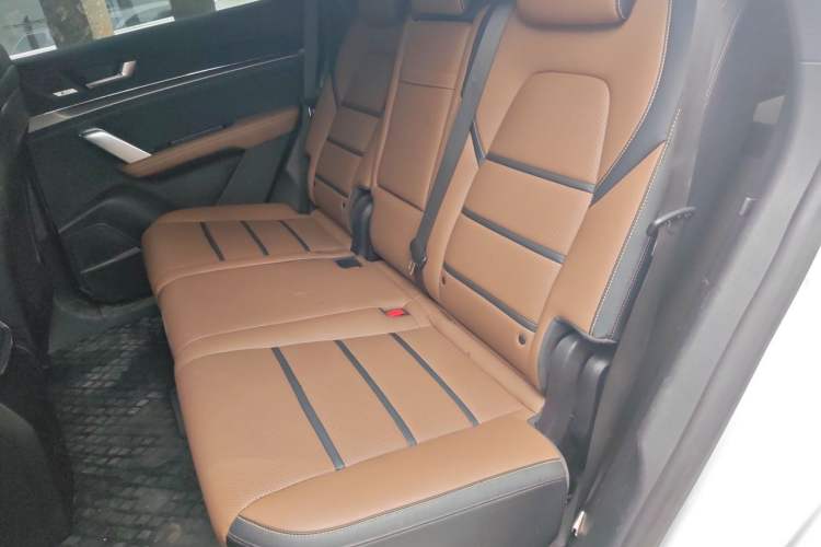 Used BYD Tang New Energy 2021 DM 2.0T Four-Wheel Drive Performance Edition Prestige Model Left Rear Seat