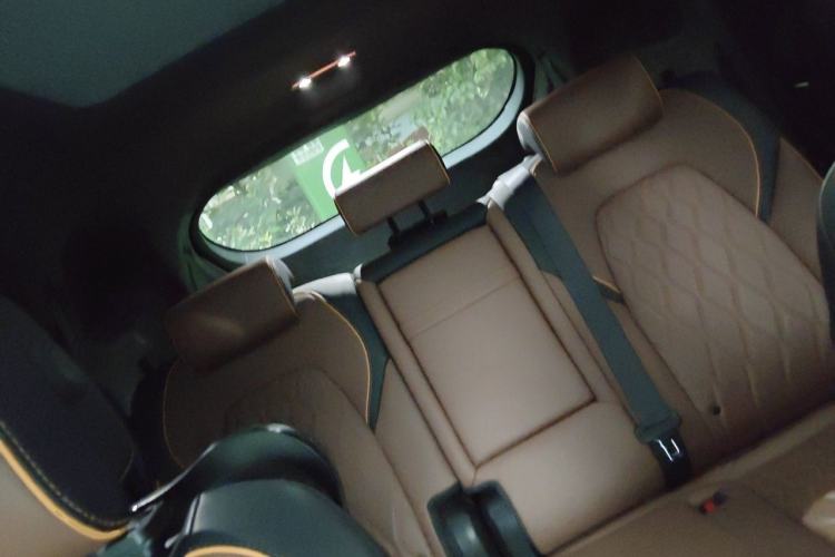 Used BYD Tang New Energy 2021 DM-i 112KM Prestige Model Left Rear Seat