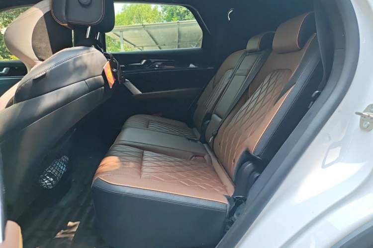 Used BYD Tang New Energy 2021 DM-i 112KM Prestige Model Left Rear Seat