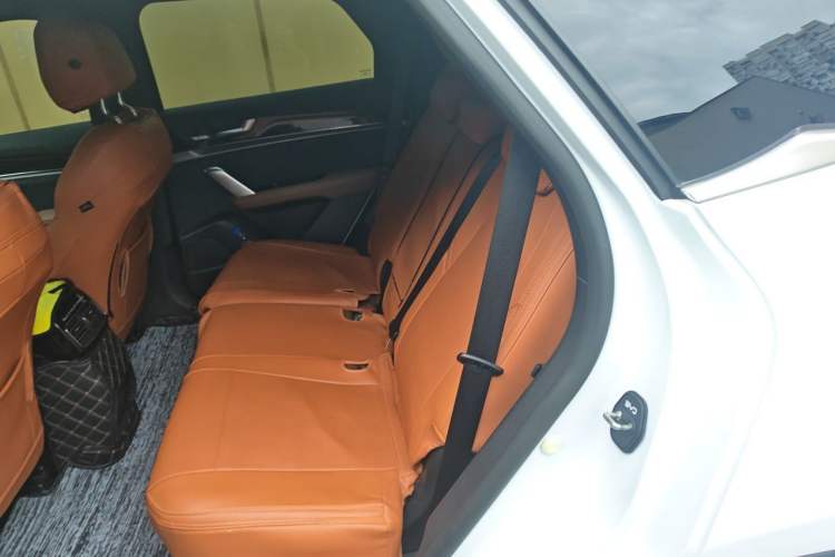 Used BYD Tang New Energy 2021 DM-i 112KM Prestige Model Left Rear Seat