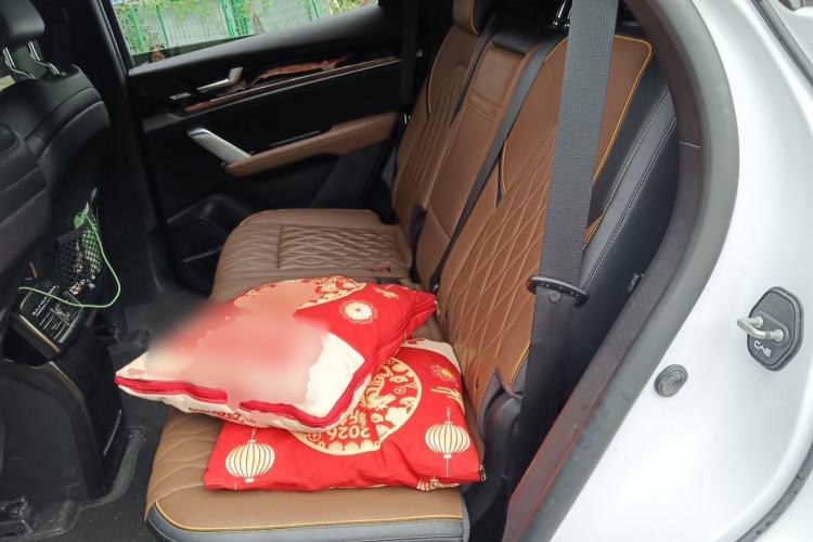 Used BYD Tang New Energy 2021 DM-i 112KM Prestige Model Left Rear Seat