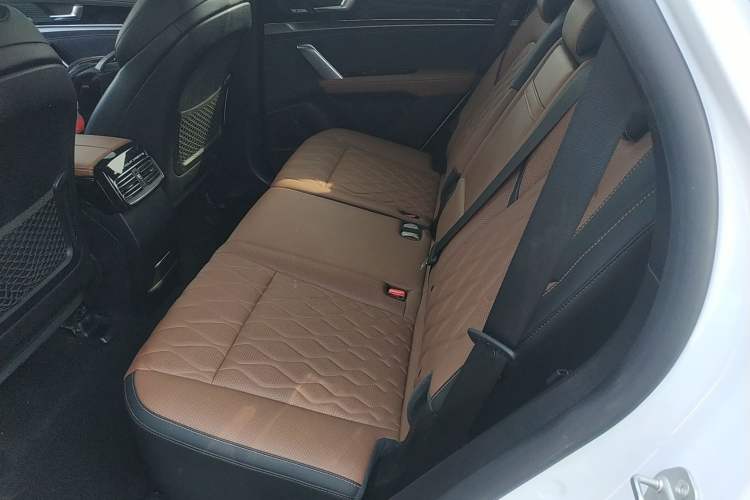 Used BYD Tang New Energy 2021 DM-i 112KM Prestige Model Left Rear Seat