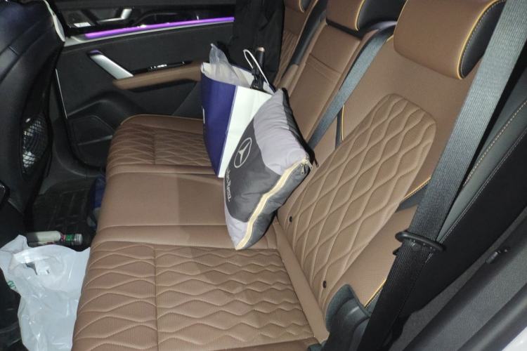 Used BYD Tang New Energy 2021 DM-i 112KM Prestige Model Left Rear Seat