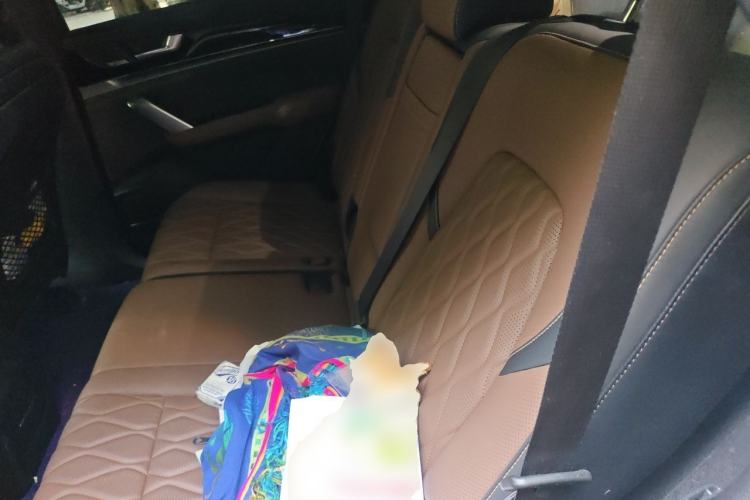 Used BYD Tang New Energy 2021 DM-i 112KM Prestige Model Left Rear Seat