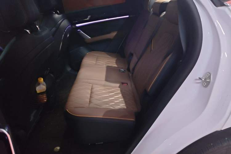 Used BYD Tang New Energy 2021 DM-i 112KM Prestige Model Left Rear Seat