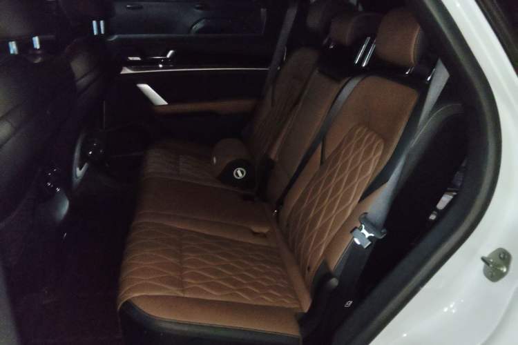 Used BYD Tang New Energy 2021 DM-i 112KM Prestige Model Left Rear Seat