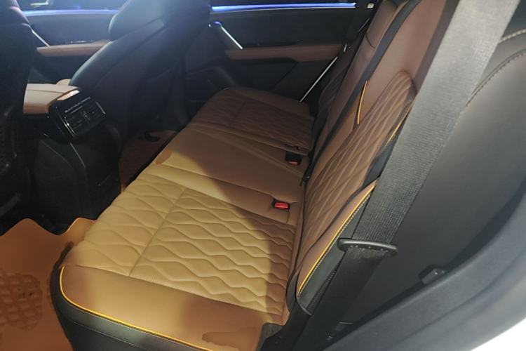 Used BYD Tang New Energy 2021 DM-i 112KM Prestige Model Left Rear Seat