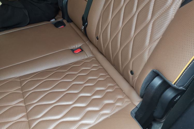 Used BYD Tang New Energy 2021 DM 2.0T Four-Wheel Drive High-Performance Flagship Model Left Rear Seat