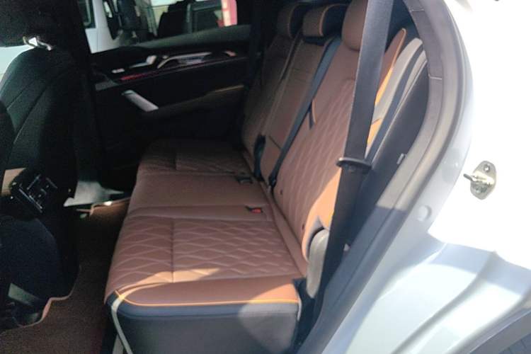 Used BYD Tang New Energy 2021 DM-i 112KM Prestige Model Left Rear Seat