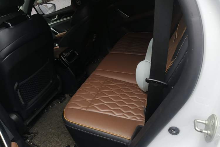 Used BYD Tang New Energy 2021 DM 2.0T Four-Wheel Drive High-Performance Flagship Model Left Rear Seat