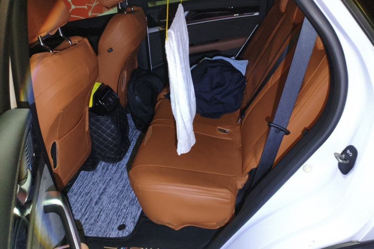 Used BYD Tang New Energy 2021 DM-i 112KM Prestige Model Left Rear Seat
