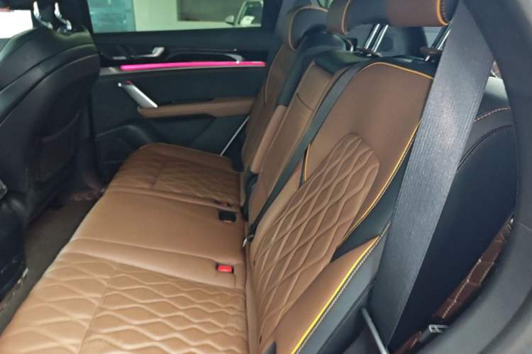 Used BYD Tang New Energy 2021 DM-i 112KM Prestige Model Left Rear Seat
