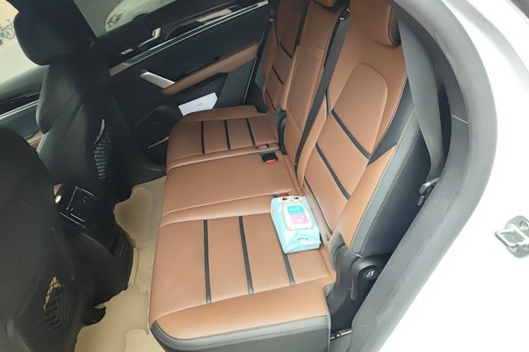 Used BYD Tang New Energy 2021 DM 2.0T Four-Wheel Drive High-Performance Luxury Model Left Rear Seat