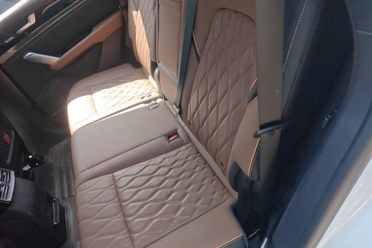 Used BYD Tang New Energy 2021 DM-i 112KM Prestige Model Left Rear Seat